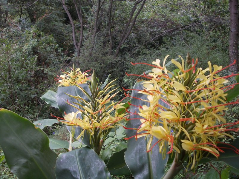 2012 settembre fotodiario6