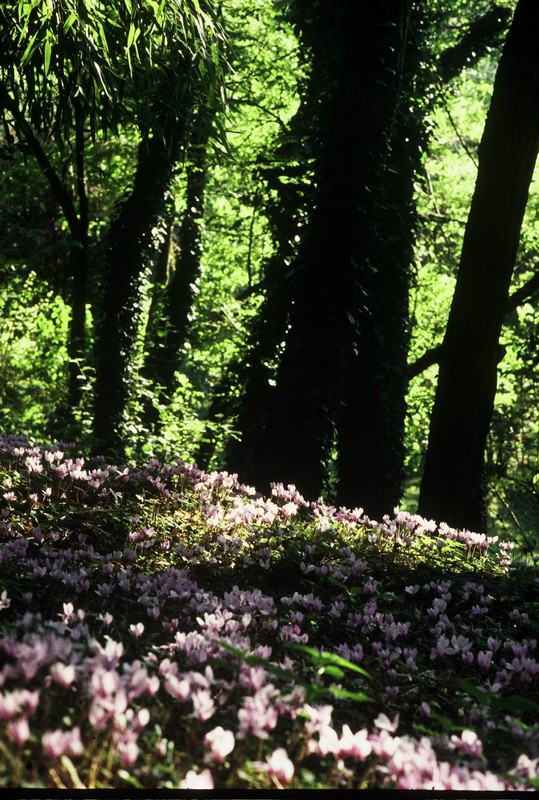 Autosave-File vom d-lab2/3 der AgfaPhoto GmbH