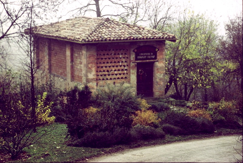 Autosave-File vom d-lab2/3 der AgfaPhoto GmbH