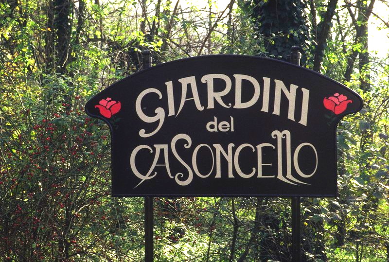 Autosave-File vom d-lab2/3 der AgfaPhoto GmbH