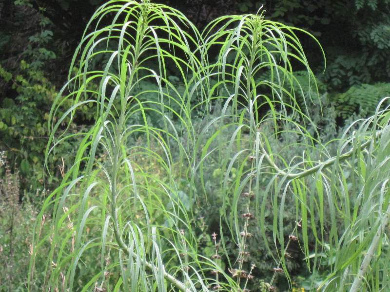 agosto 2010 - fotodiario2