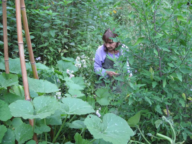 agosto 2010 - fotodiario3