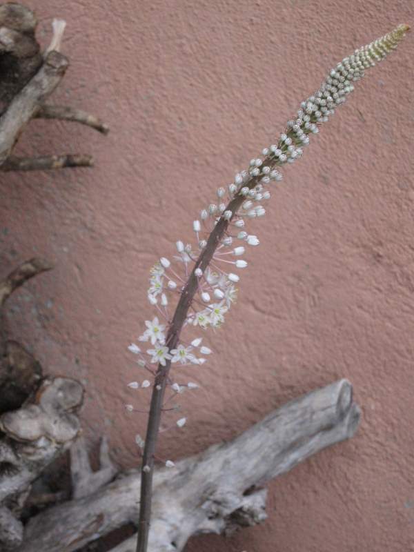 agosto 2010 - fotodiario7