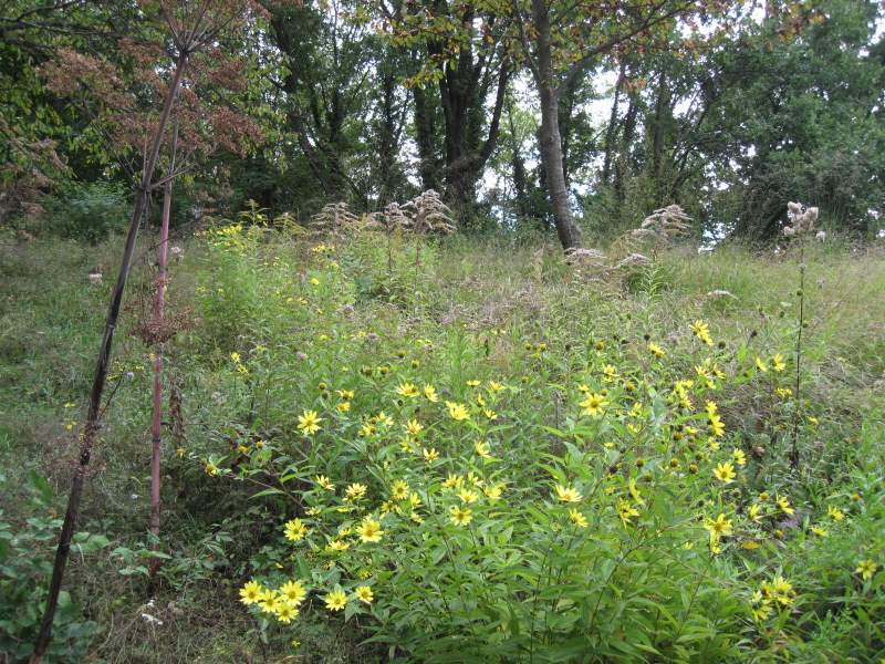 agosto 2010 - fotodiario8