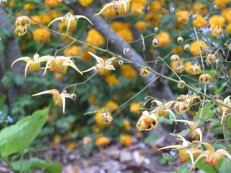 aprile 2011 - fotodiario6