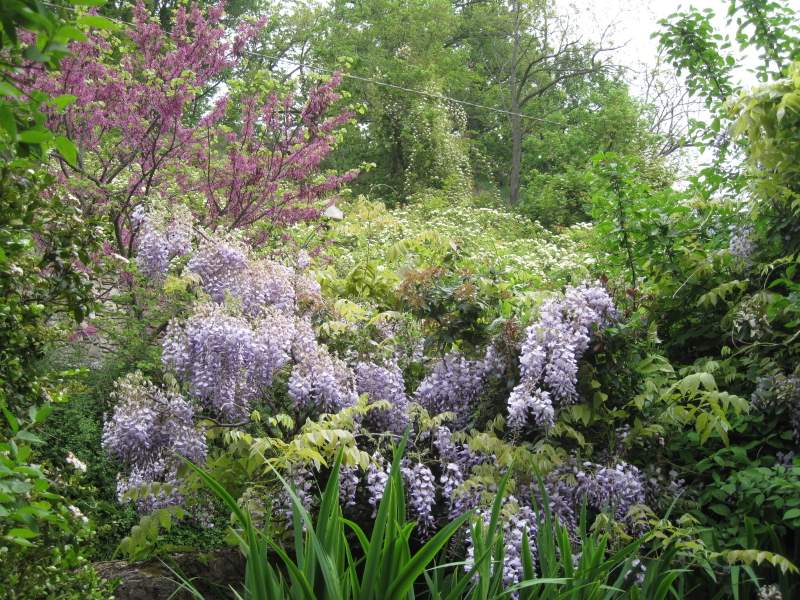 aprile 2011 - fotodiario7