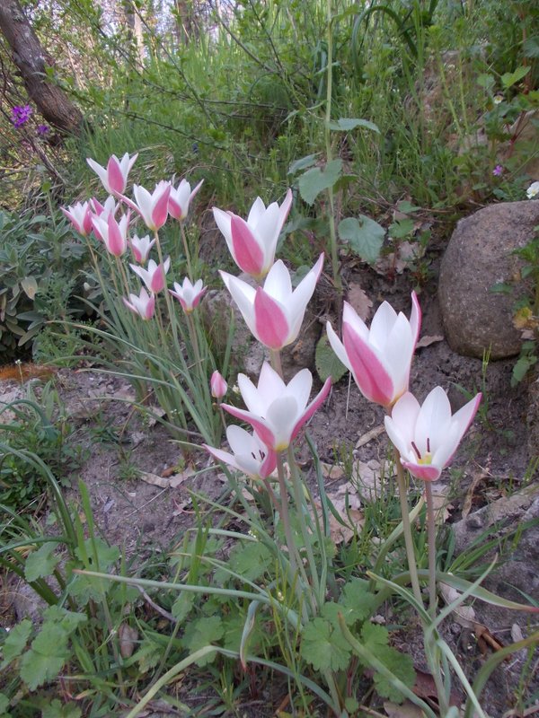 aprile 2013 - fotodiario4