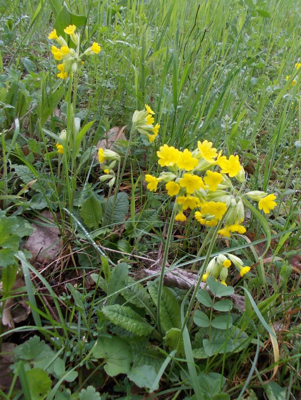 aprile 2013 - fotodiario6