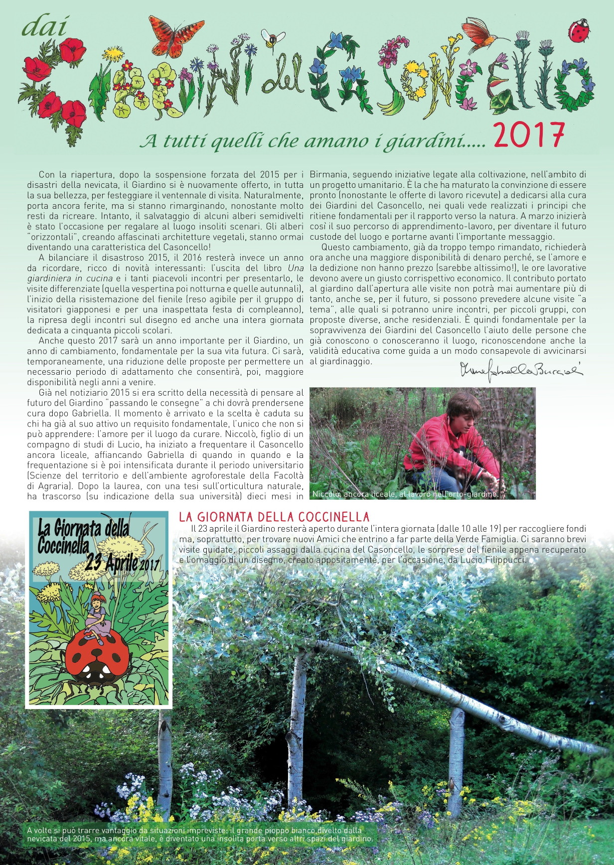 casoncello_finale-00001-bassa