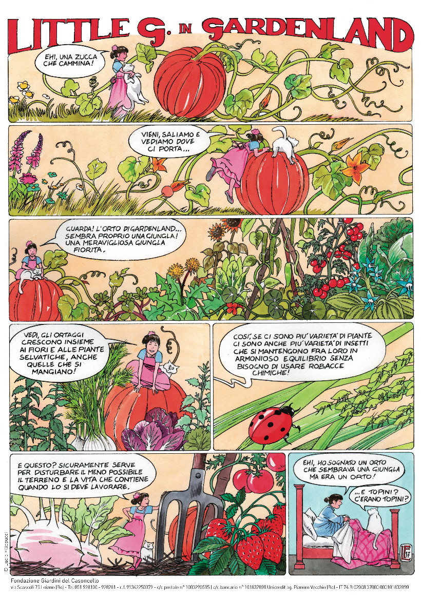 casoncello_finale-00004-bassa