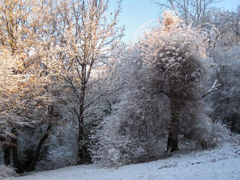 dicembre 2010 - fotodiario3