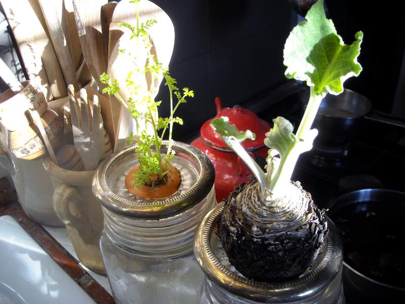 dicembre 2010 - fotodiario4