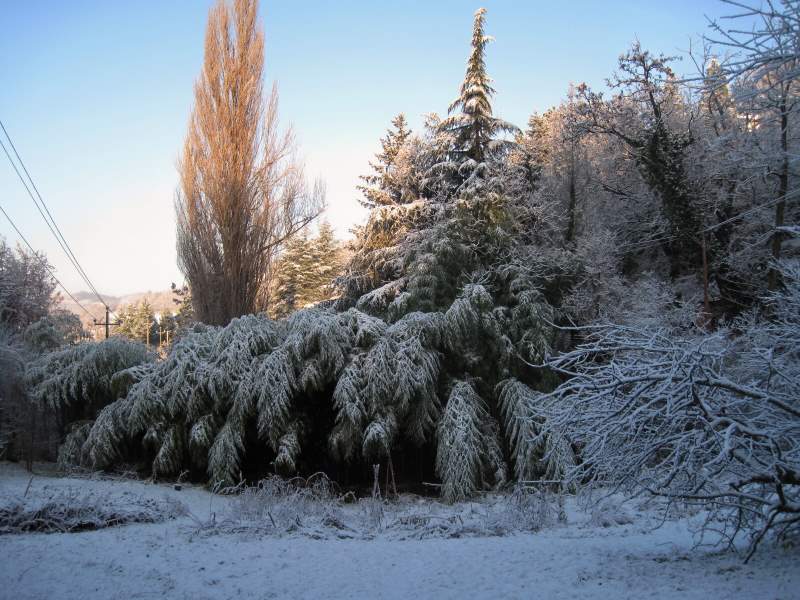 dicembre 2010 - fotodiario5