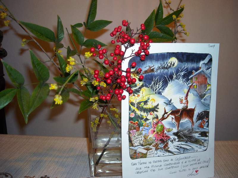 dicembre 2010 - fotodiario6