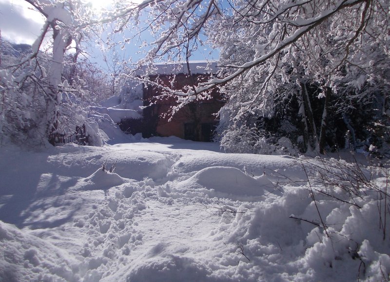 febbraio marzo 2013 - fotodiario1