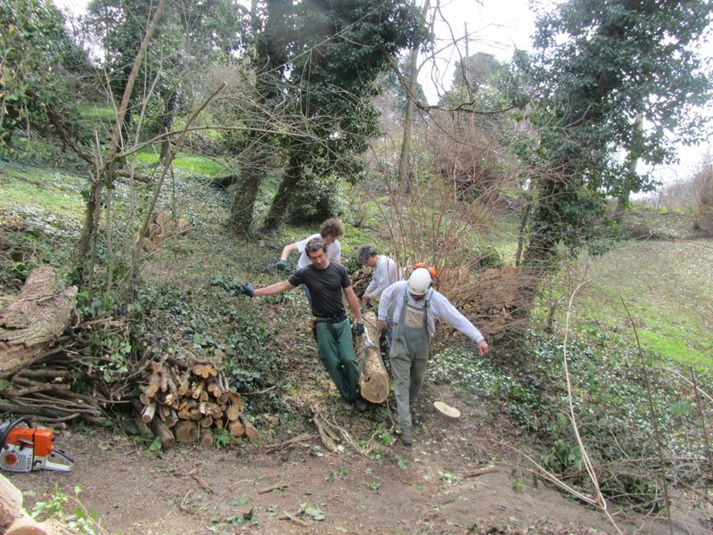 febbraio marzo 2013 - fotodiario10