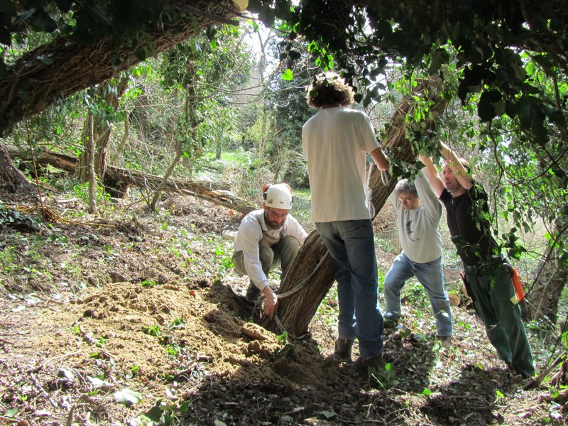 febbraio marzo 2013 - fotodiario12