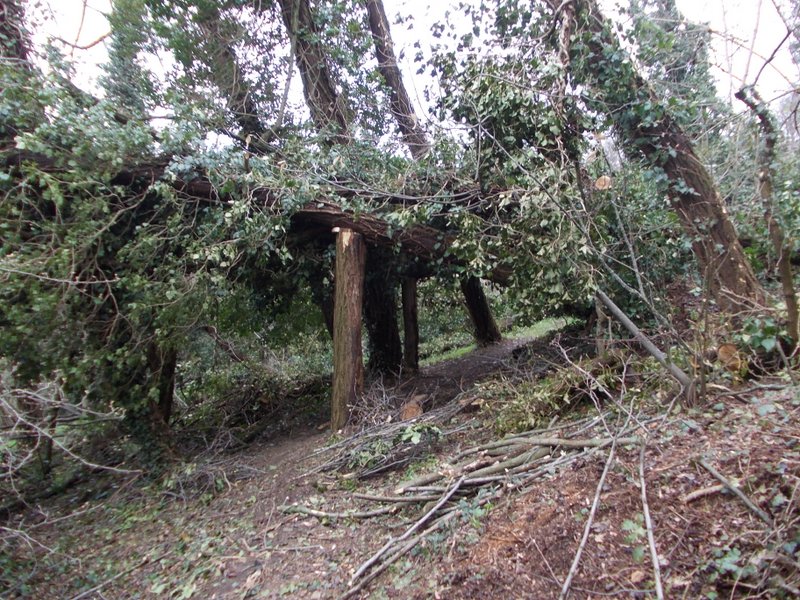 febbraio marzo 2013 - fotodiario13