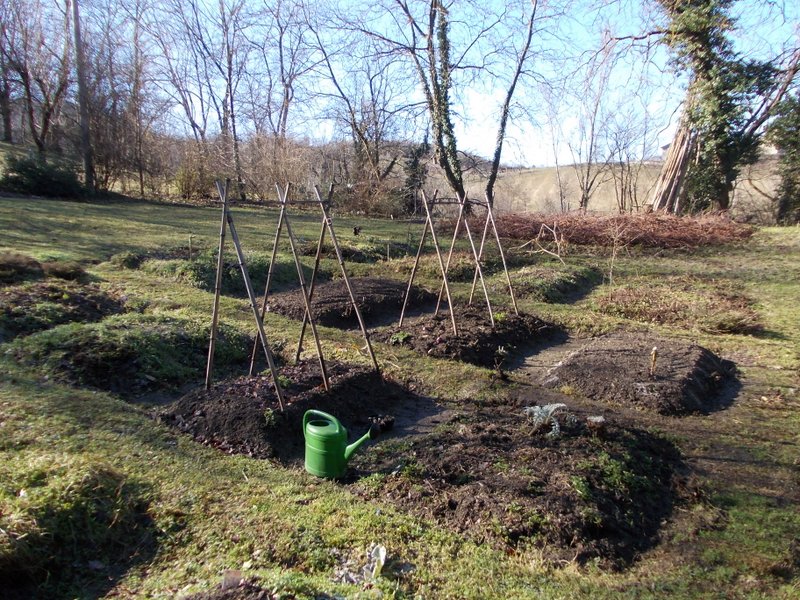 febbraio marzo 2013 - fotodiario14