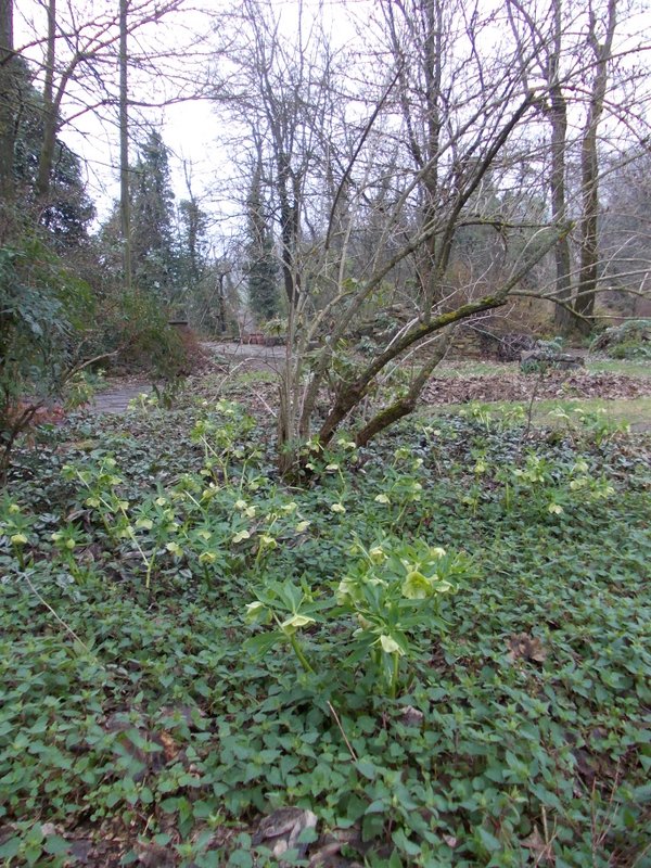 febbraio marzo 2013 - fotodiario15