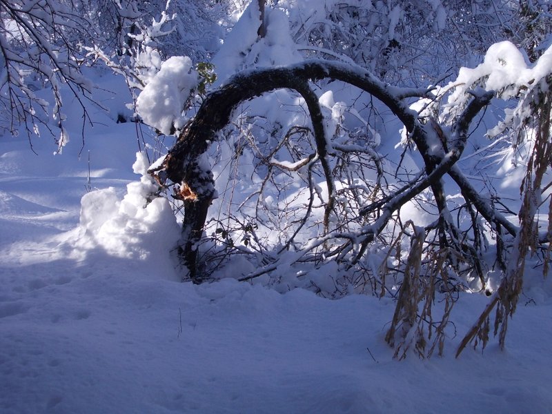 febbraio marzo 2013 - fotodiario2