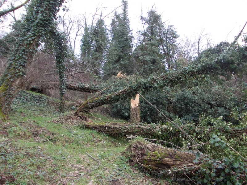 febbraio marzo 2013 - fotodiario5