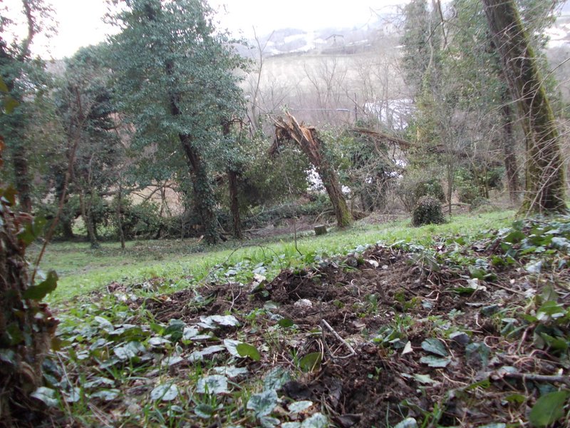 febbraio marzo 2013 - fotodiario6