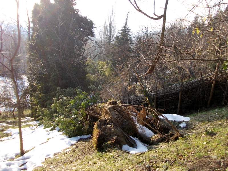 febbraio, marzo mancante 013