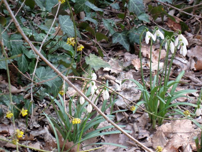 fotodiario febbraio 2011 3