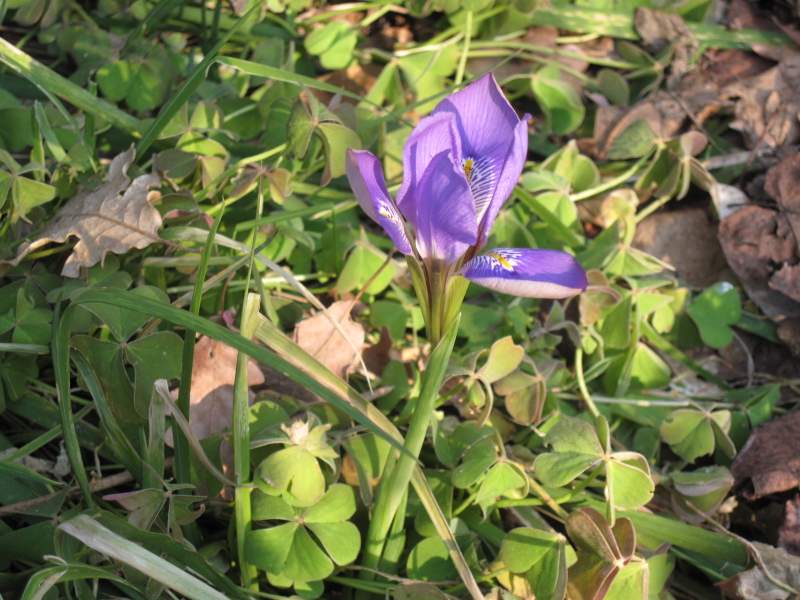 fotodiario febbraio 2011 7