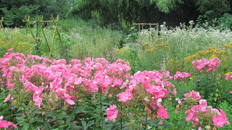 fotodiario luglio 2011 2