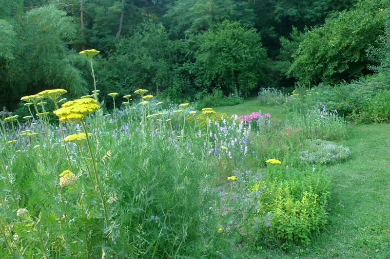 fotodiario luglio 2011 7