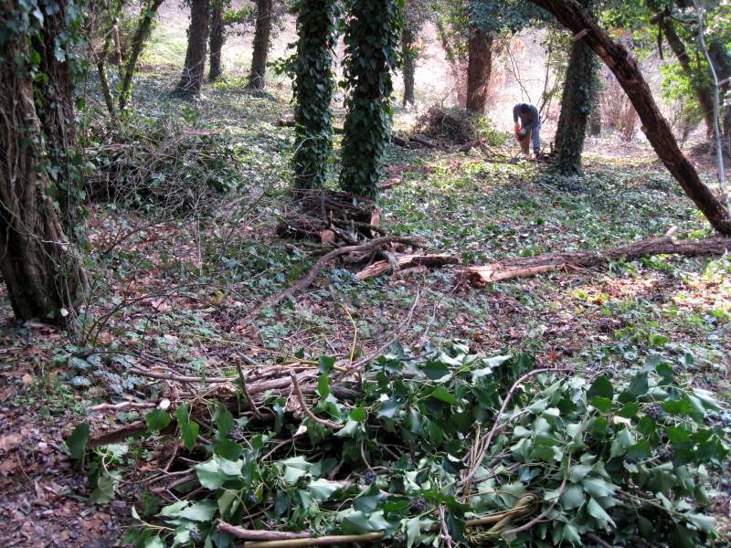 fotodiario marzo 2001 3