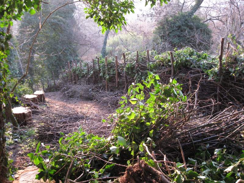 fotodiario marzo 2011 4