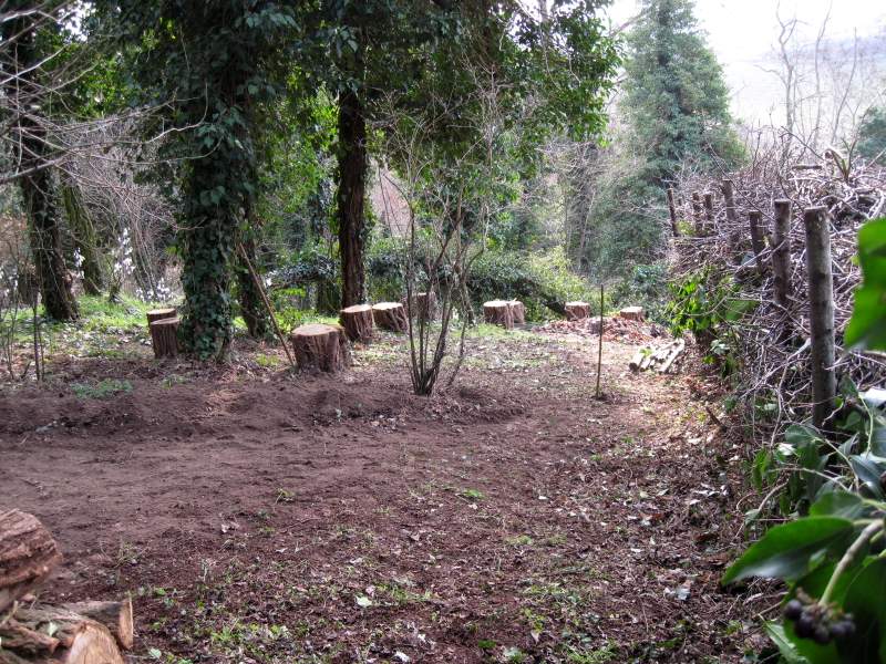 fotodiario marzo 2011 5