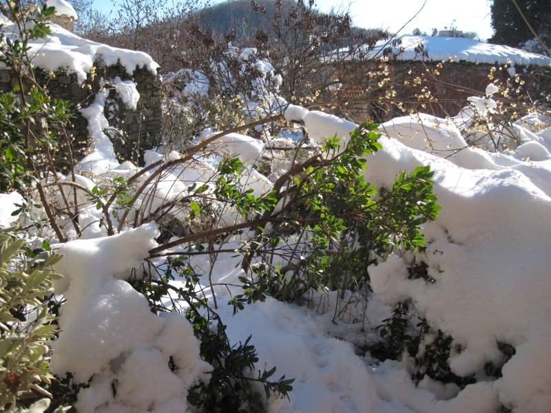 gennaio 2011 fotodiario 2