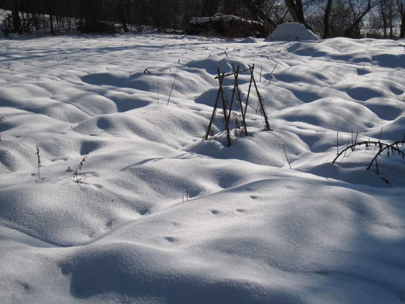 gennaio 2011 fotodiario 8