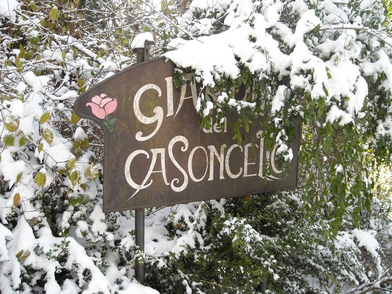 gennaio 2013 - fotodiario1