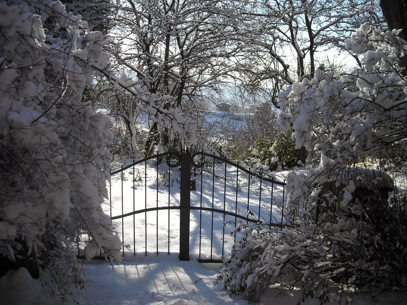 gennaio 2013 - fotodiario2