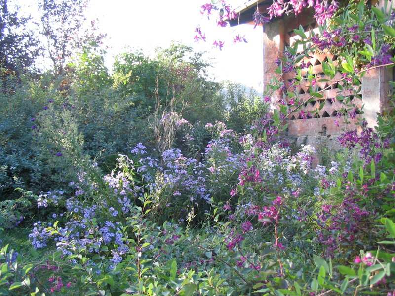 Il giardino del laboratorio