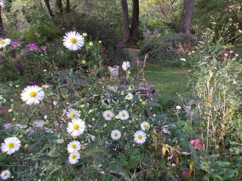 Giardino della casa che non c’è
