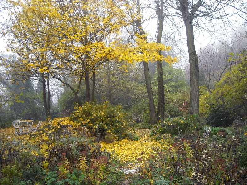 Giardino della casa che non c'è 