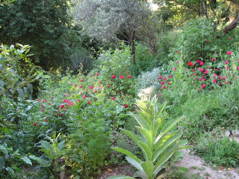 Giardino delle erbe
