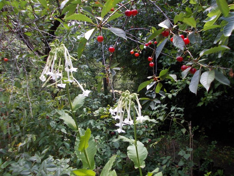 giugno 2013 - fotodiario1