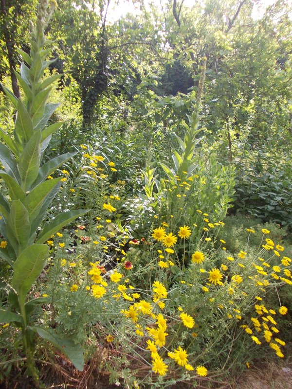 giugno 2013 - fotodiario2