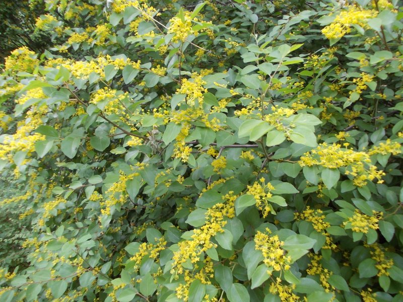 giugno 2013 - fotodiario3