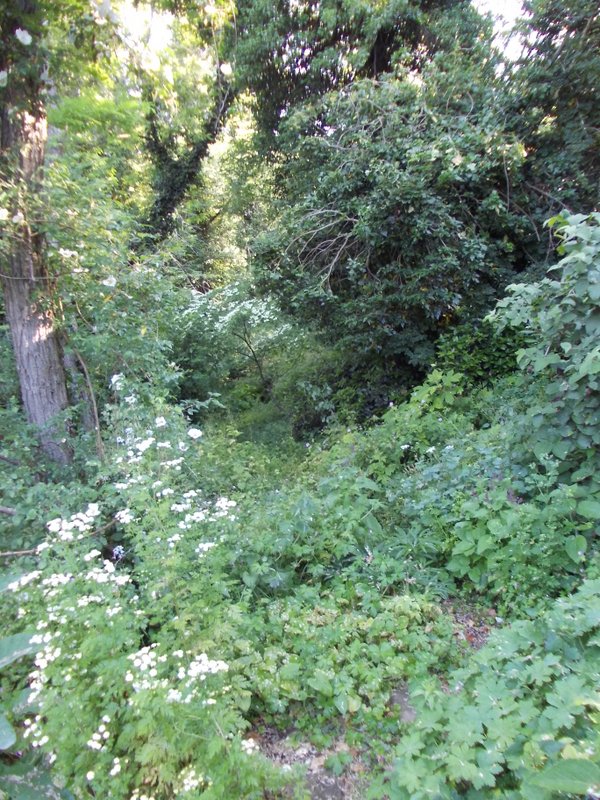 giugno 2013 - fotodiario4