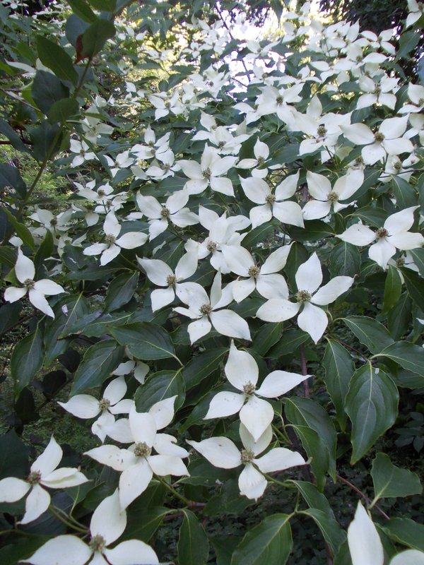 giugno 2013 - fotodiario5