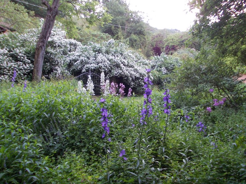 giugno 2013 - fotodiario6