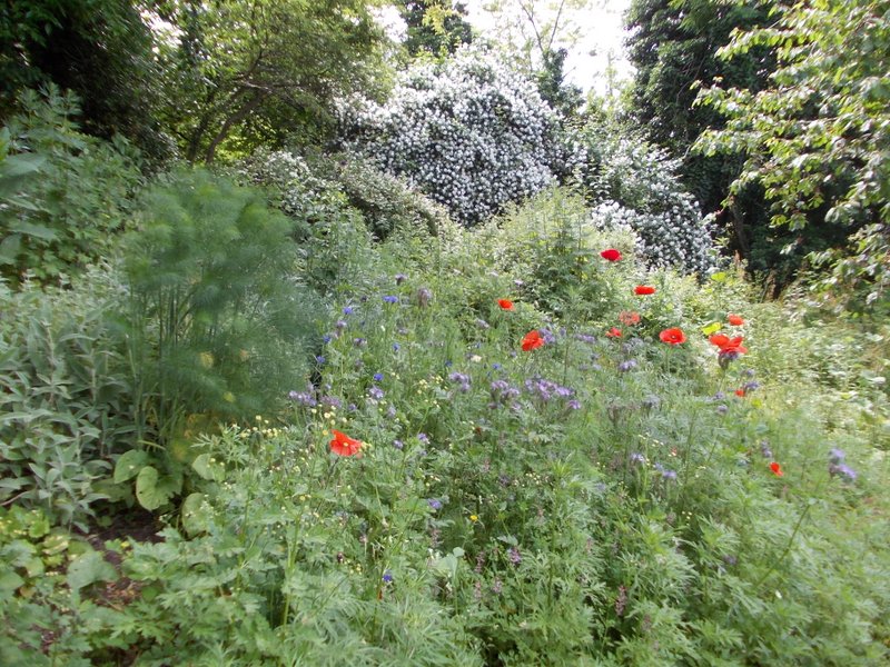 giugno 2013 - fotodiario7